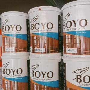 Politur Boyo (water based)