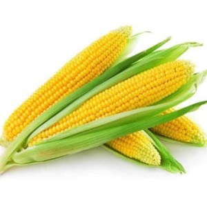 JAGUNG 1KG
