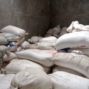 GABAH KERING GILING (GKG)