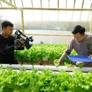 Jasa Pembuatan Video