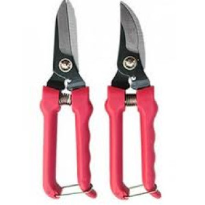 Gunting Dahan Pohon Panjang