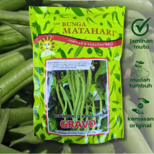 Benih Buncis 500 Gram Cap Bunga Matahari