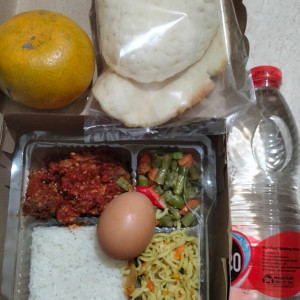 Nasi Kotak / Nasi Box