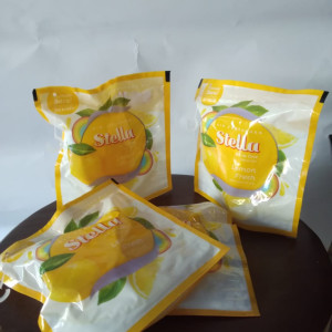 Pewangi Ruangan Kemasan Gantung Merk Stela