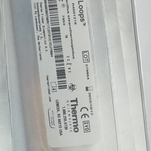 ATCC 7953 Geobacillus stearothermophilus Thermo fisher