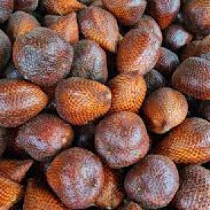 buah Salak