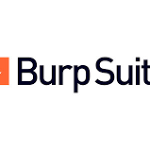 Burp Suite Pro 1 Year 4 User