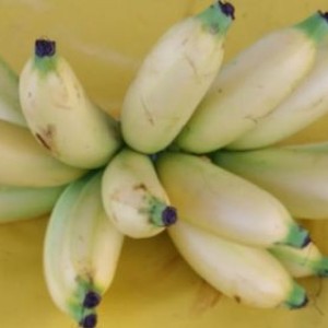 BUAH PISANG