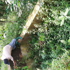 Jasa Petugas Kebersihan