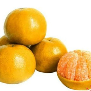 Jeruk Lokal / Jeruk Keprok