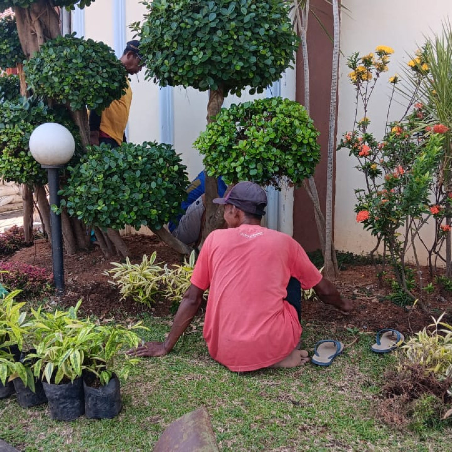 Pembuatan taman