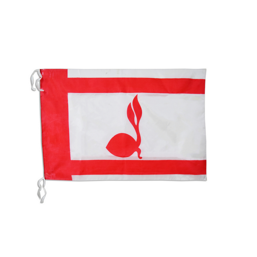 Bendera Pramuka/ Tunas Ukuran 60cm x 90cm