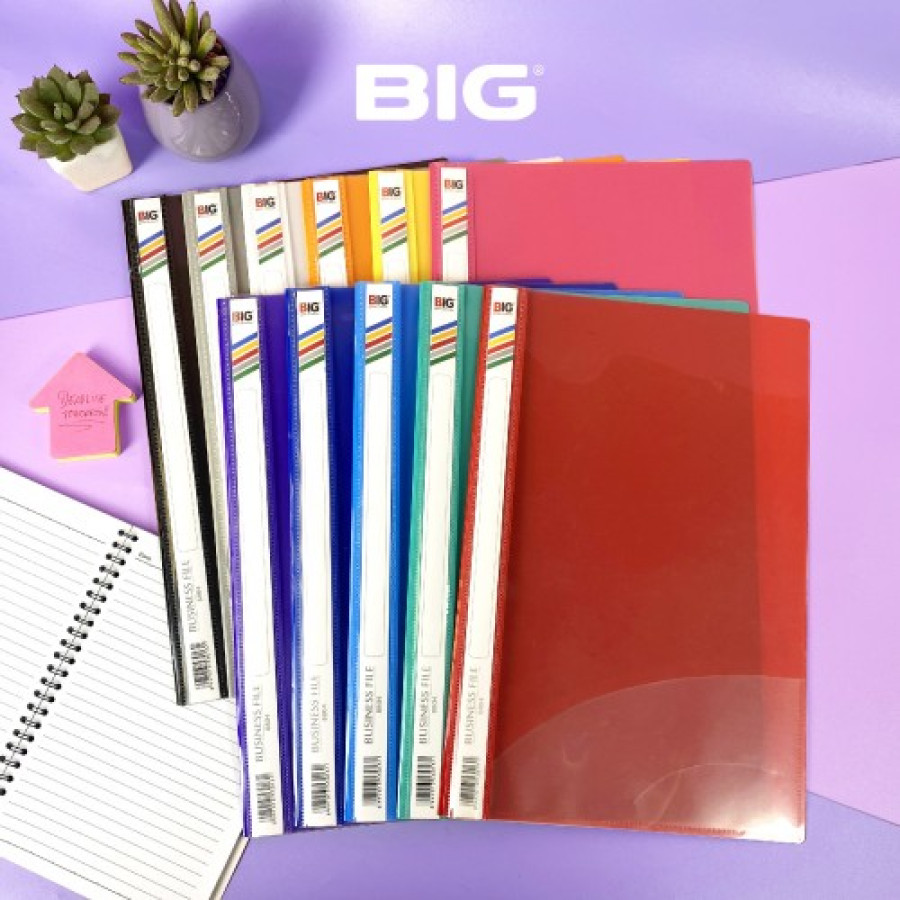 Bussines File Big Ecer