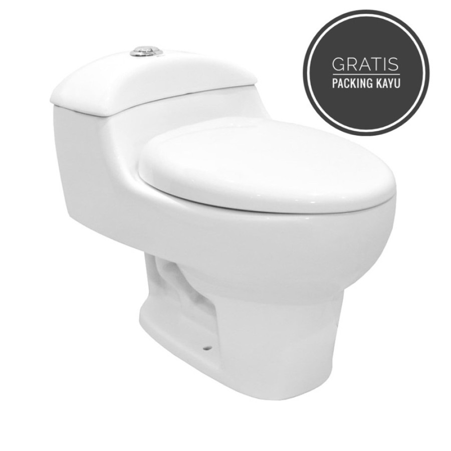 TOILET DUDUK