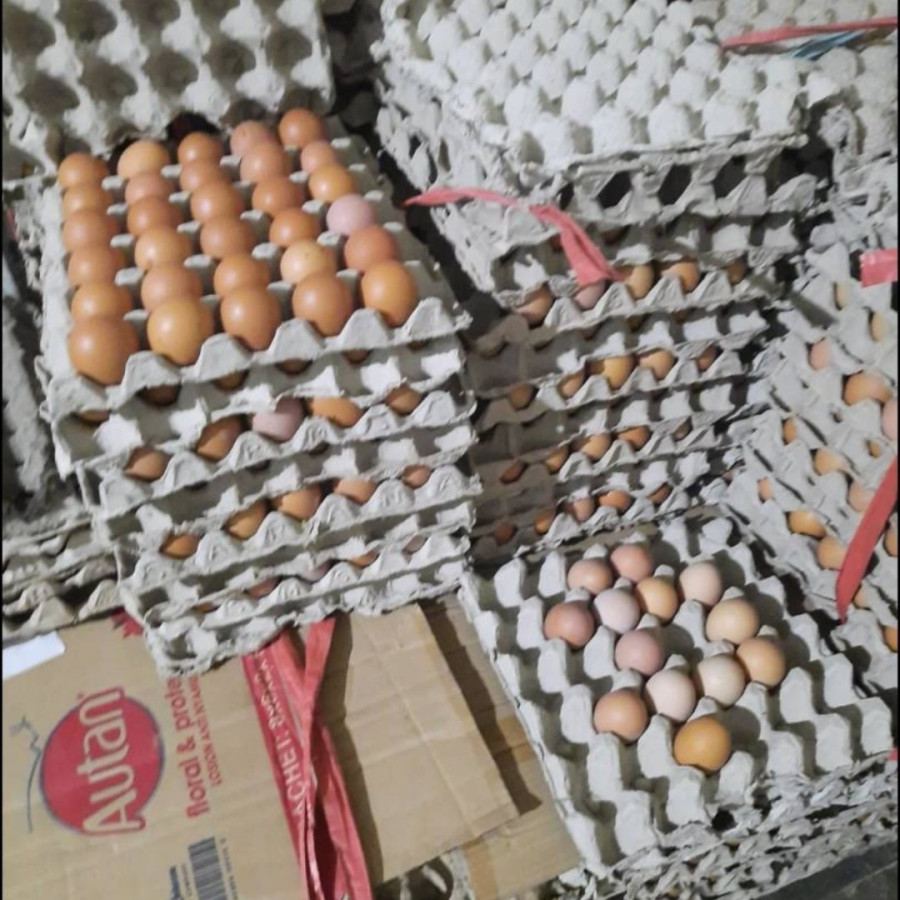 Telur lokal per kg - depan