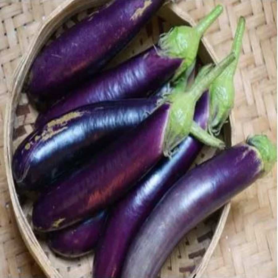 Terong 4-6 Biji/Kg