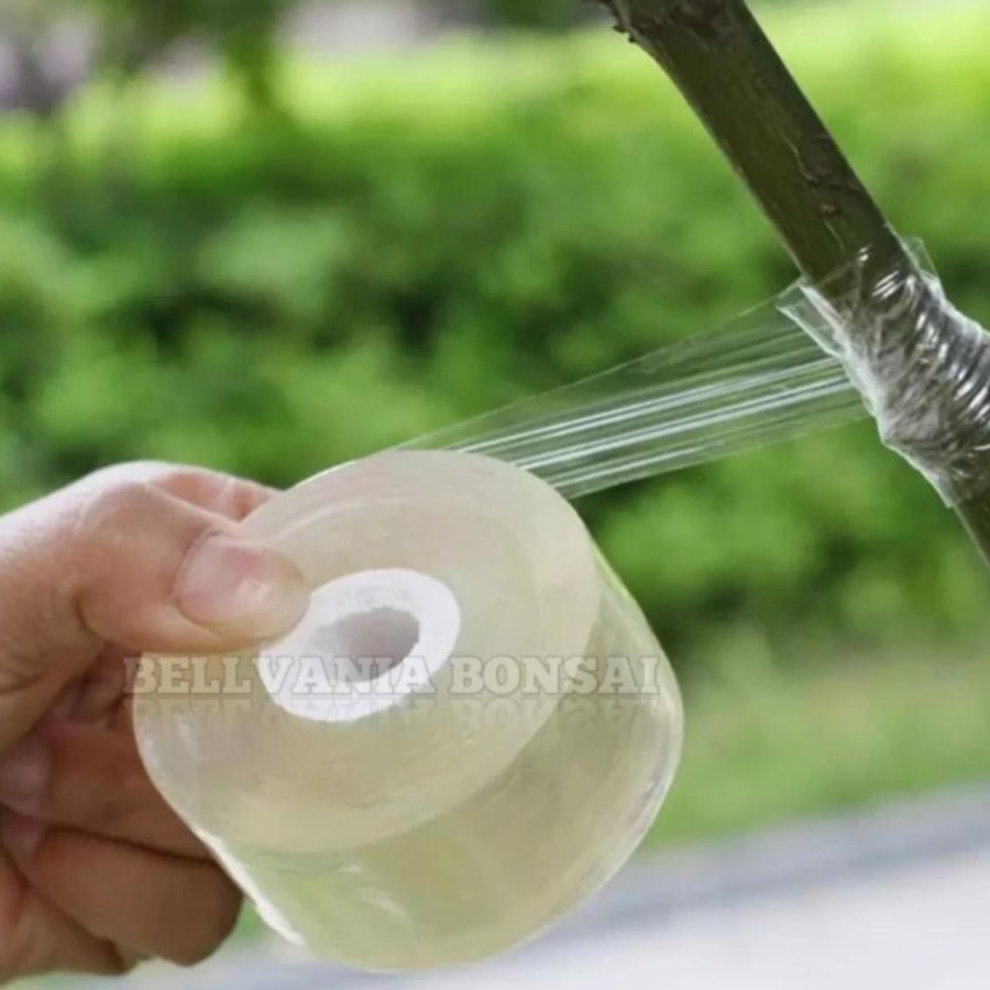 Grafting Tape - Plastik Okulasi Sambung Pucuk (Tali Sambung)