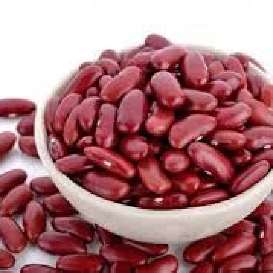 Kacang Merah