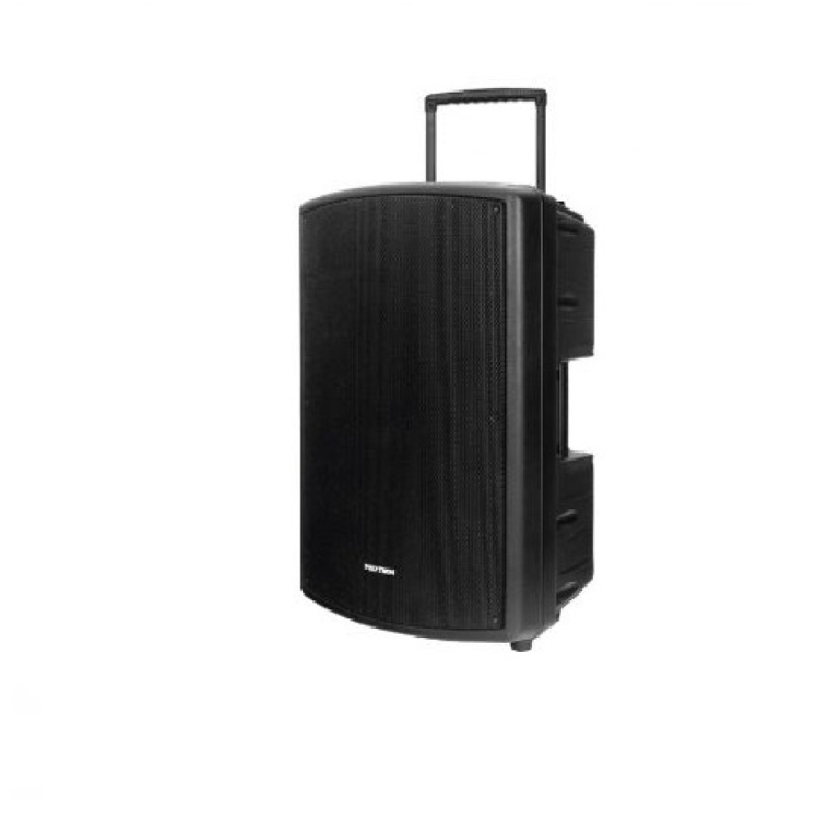 Speaker Aktif Portable Bluetooth - Polytron PAS-PRO15F3 - depan