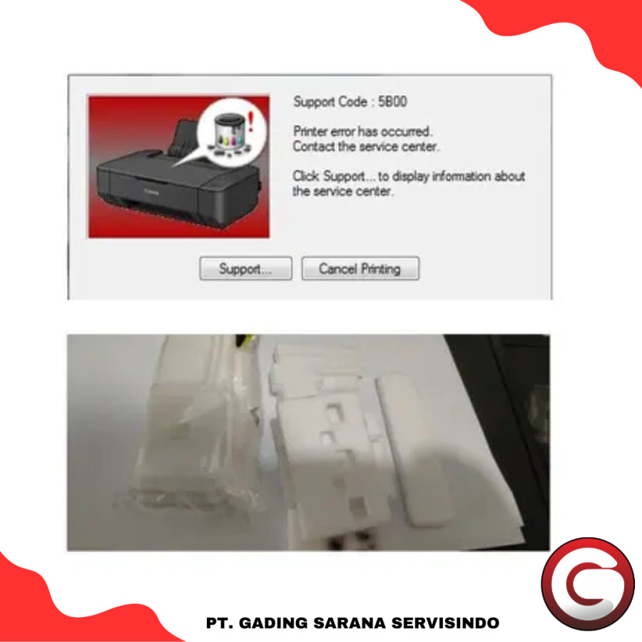 Penggantian Inkpad Absorber Canon