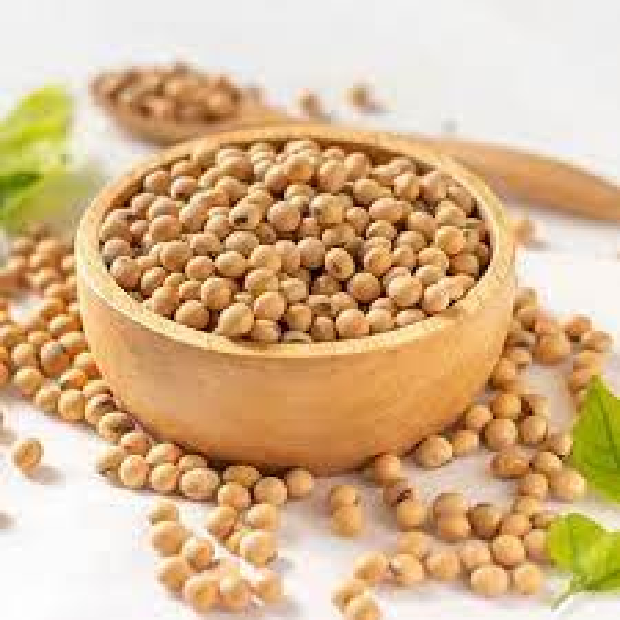 Kacang Kedelai