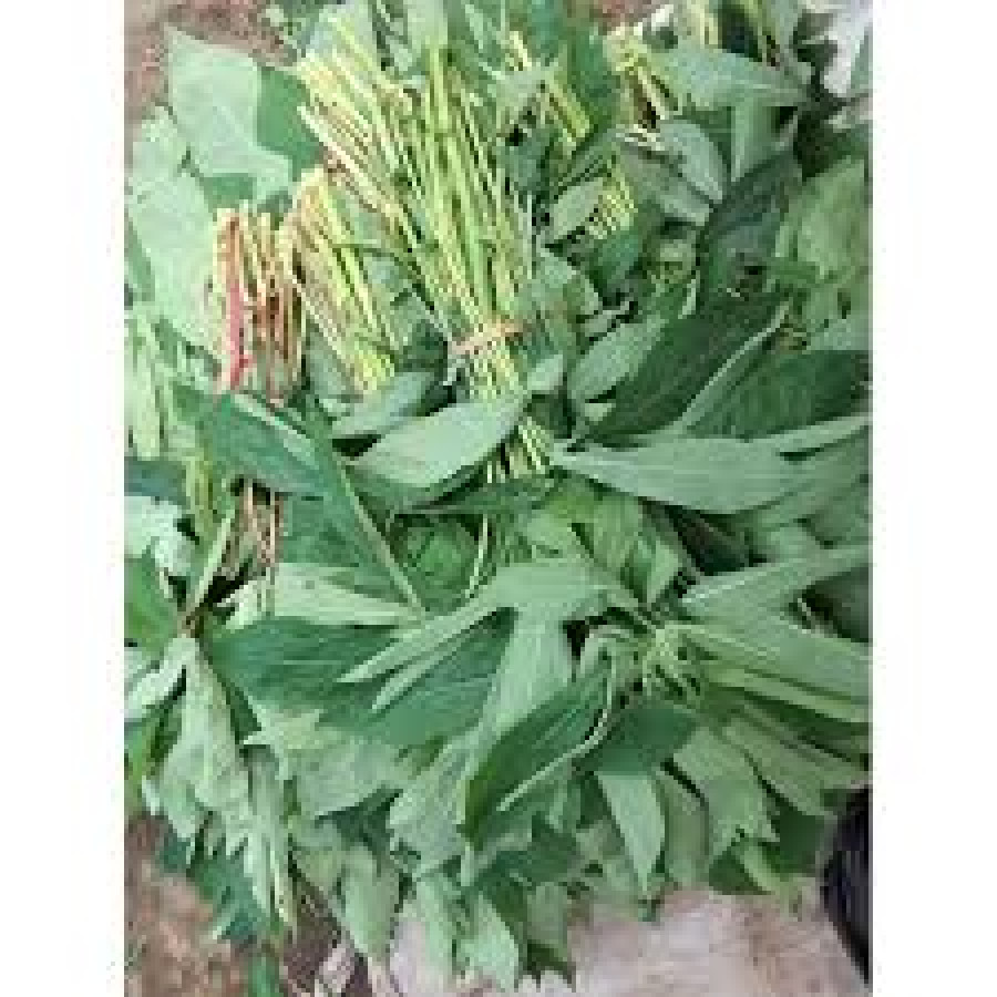 Daun Singkong