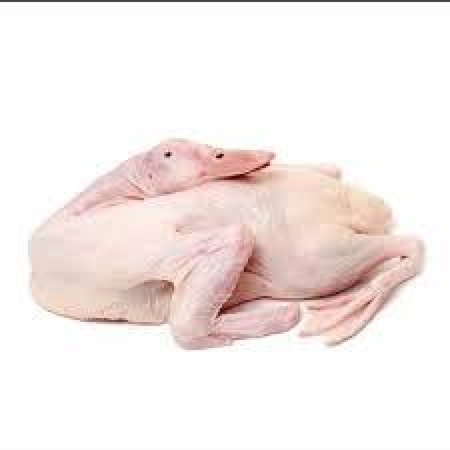 Bebek ....