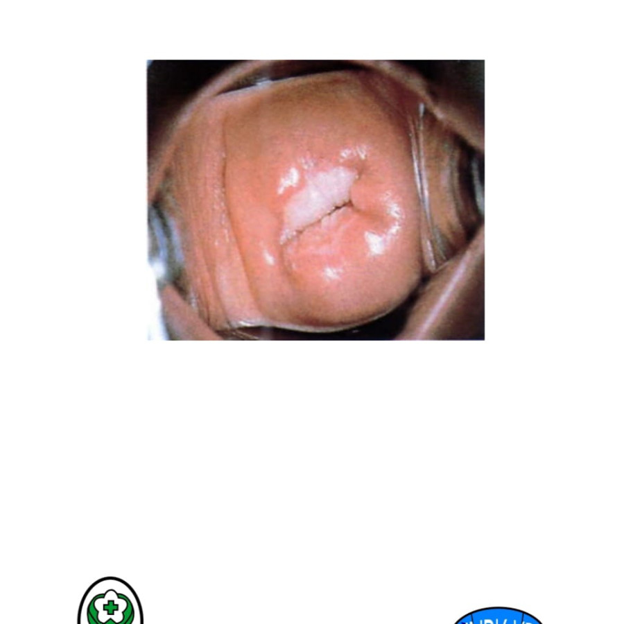 Bagan Flascard Iva Dokter