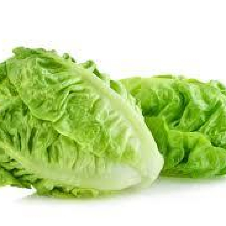Lettuce Romance