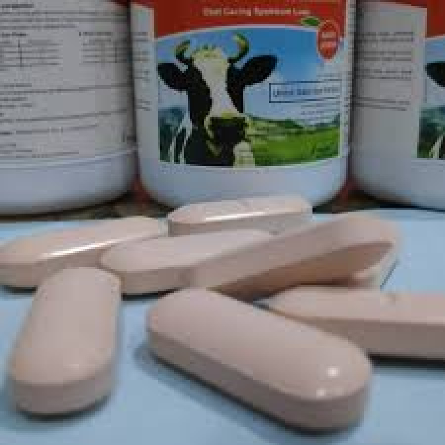 obat cacing bolus