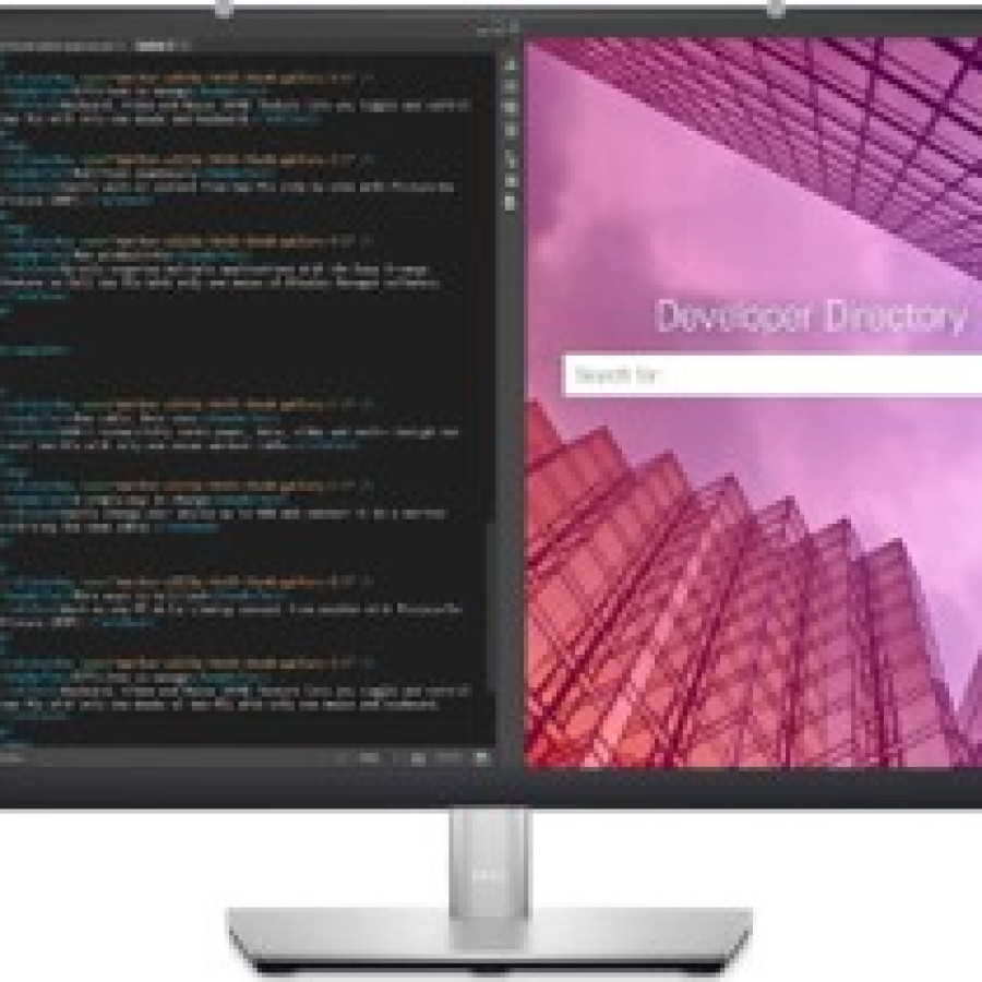 DELL Monitor [P2423]