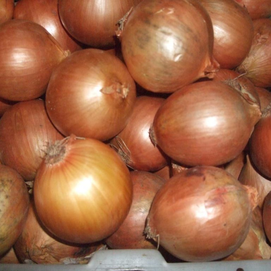 Bawang Bombay