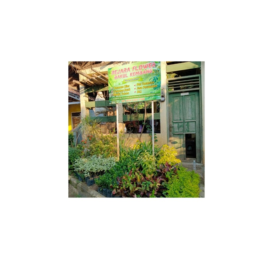 Jasa Pemeliharaan Taman