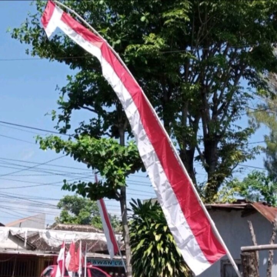 UMBUL - UMBUL PENJOR MERAH PUTIH - samping