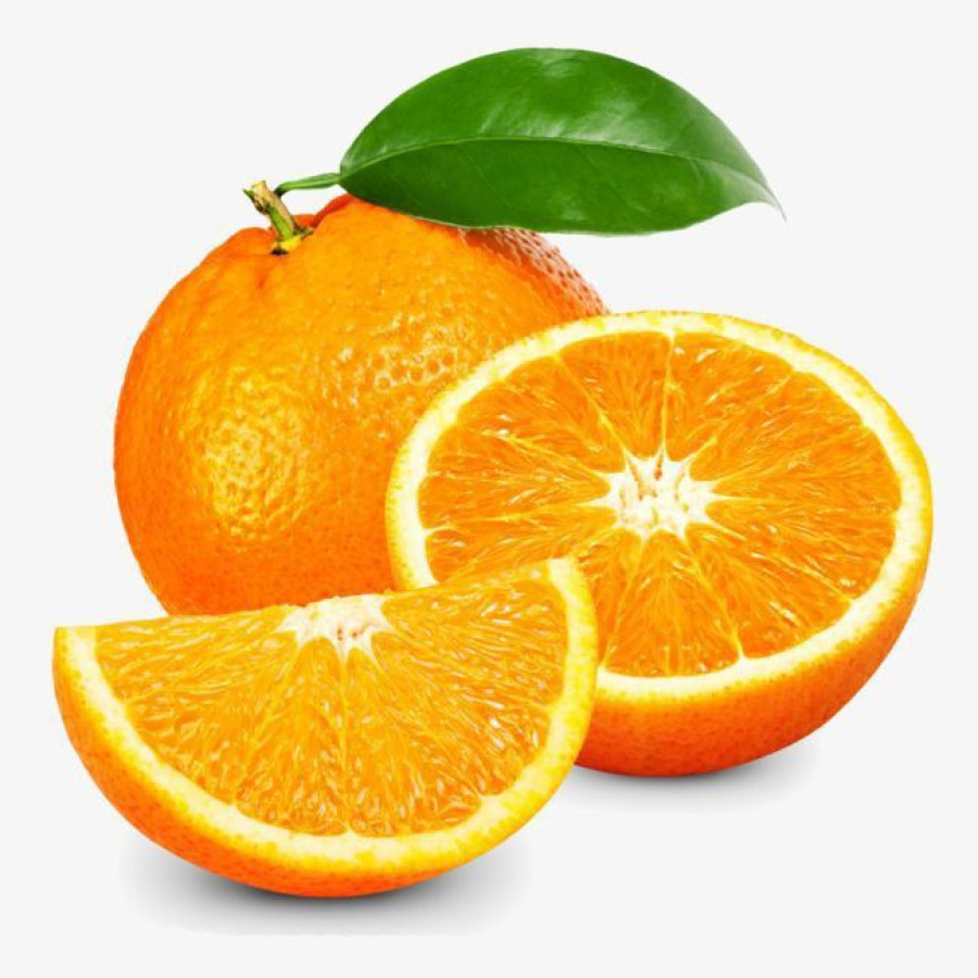BUAH JERUK SEGAR BERKUALITAS - samping