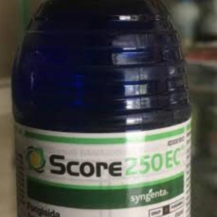 SCORE 250 EC