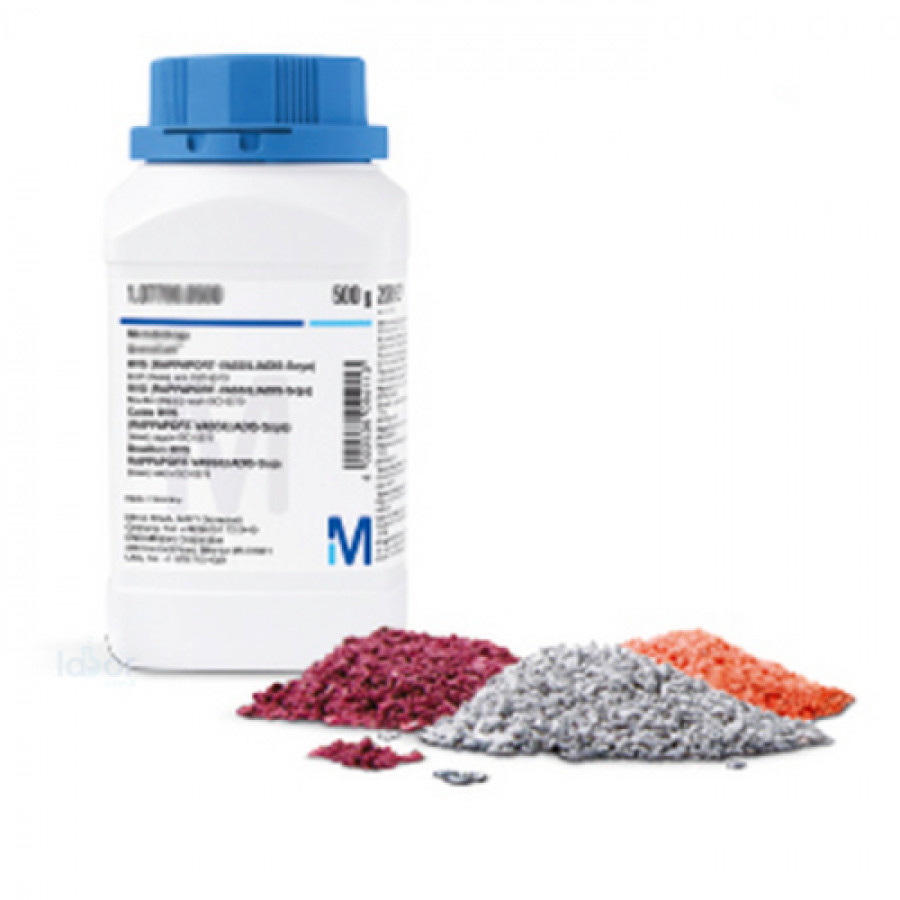 Media Agar Salmonella Shigela