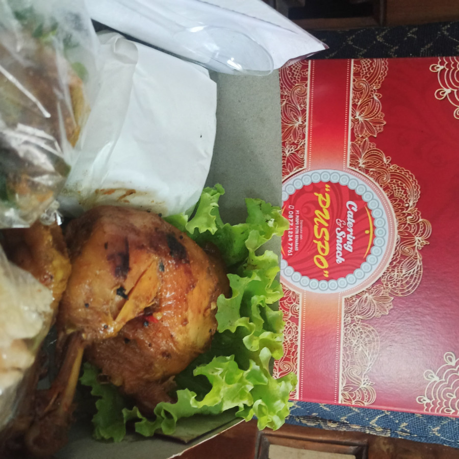 Nasi Dus Paket Reguler Ayam Bakar/ Goreng - utama