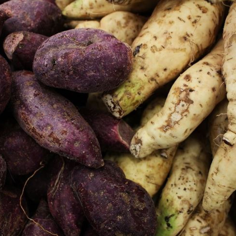 Ubi/Ketela 3 Biji/Kg