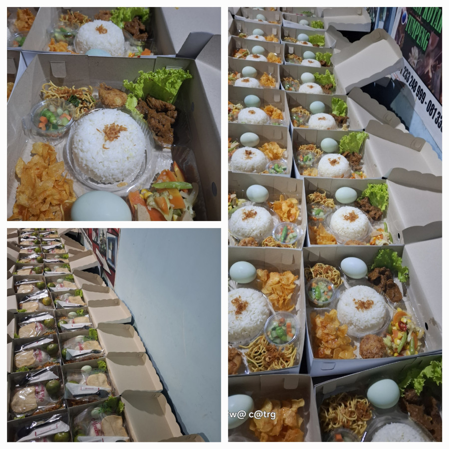 Nasi kotak DAP 2 - detail
