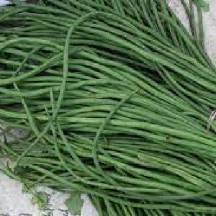 Sayuran Kacang Panjang