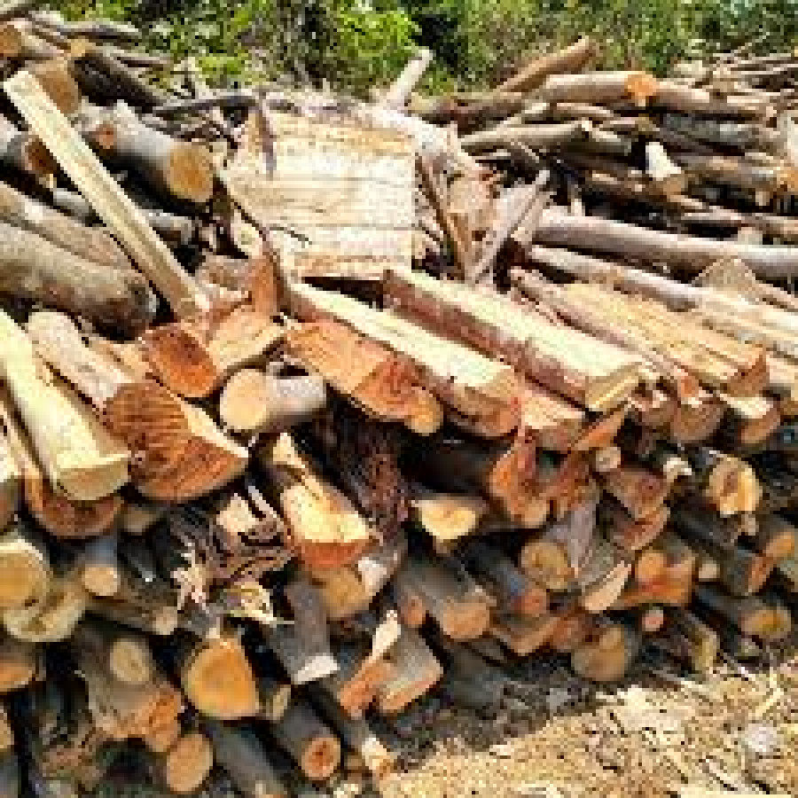 KAYU BAKAR