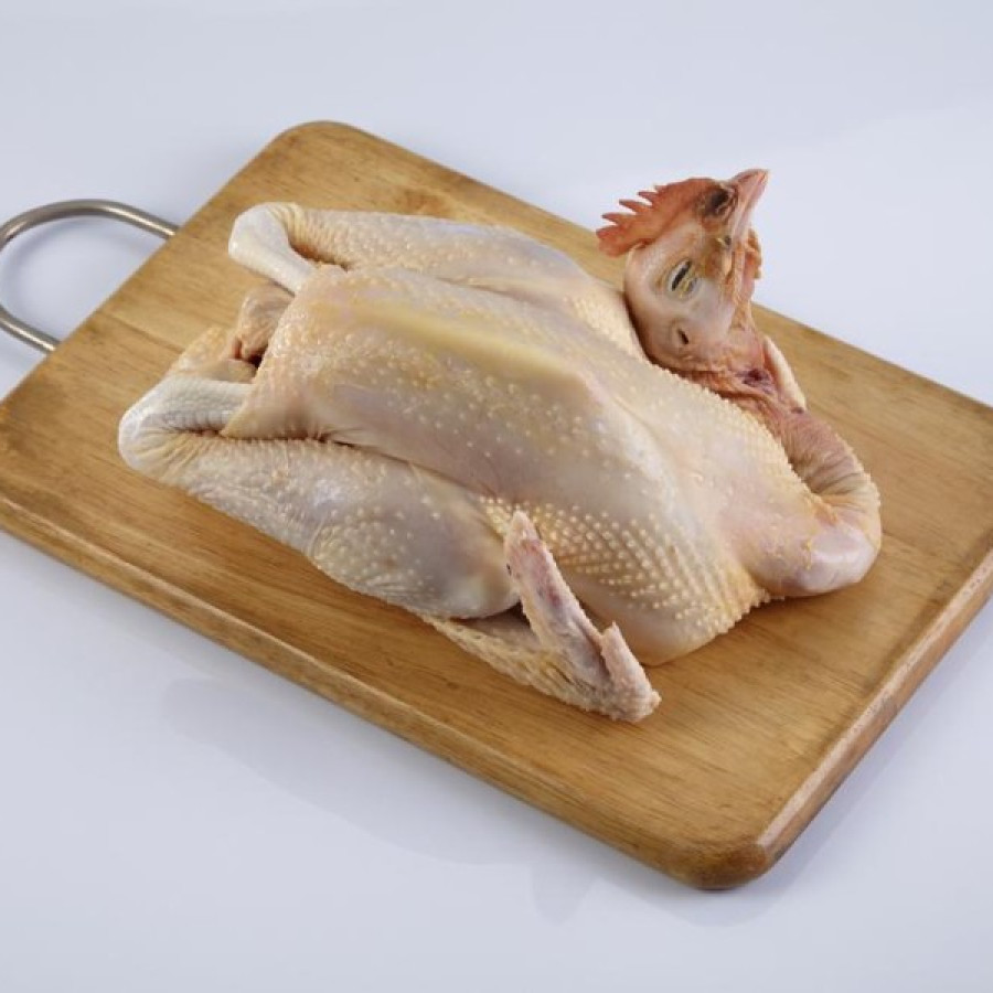 Daging Ayam Kampung 1 Kg