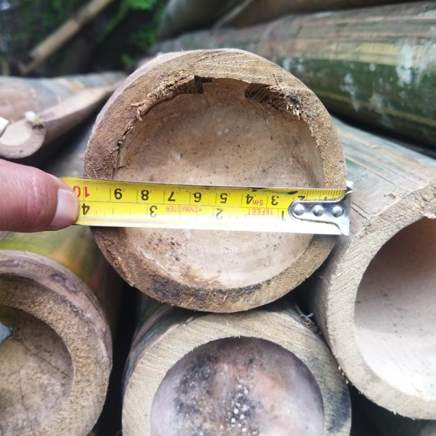 Bambu Panjang 4m - samping