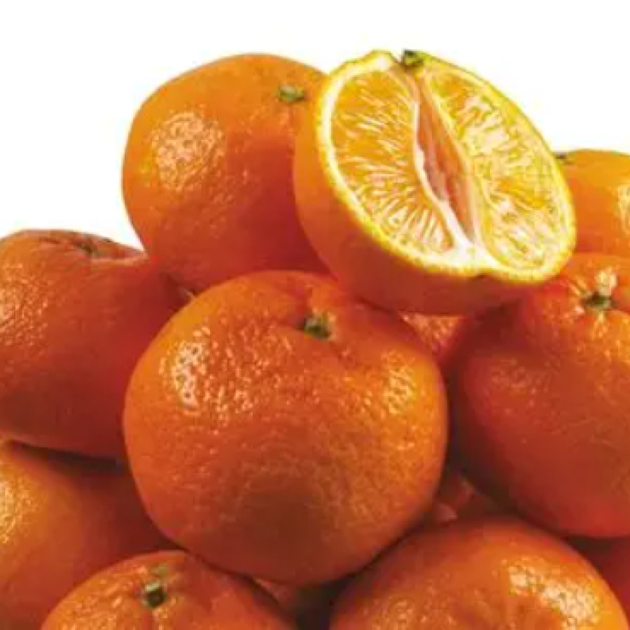 Jeruk 8 Buah/Kg