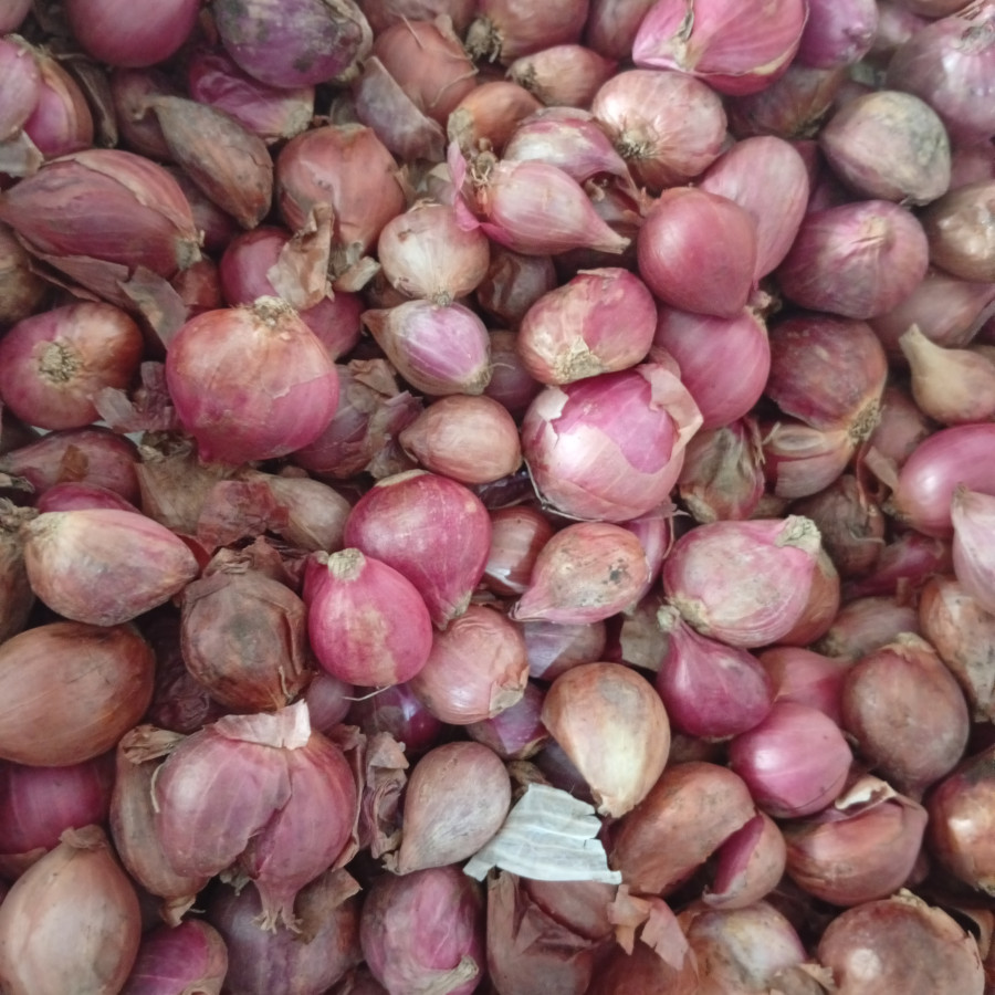 Bawang merah