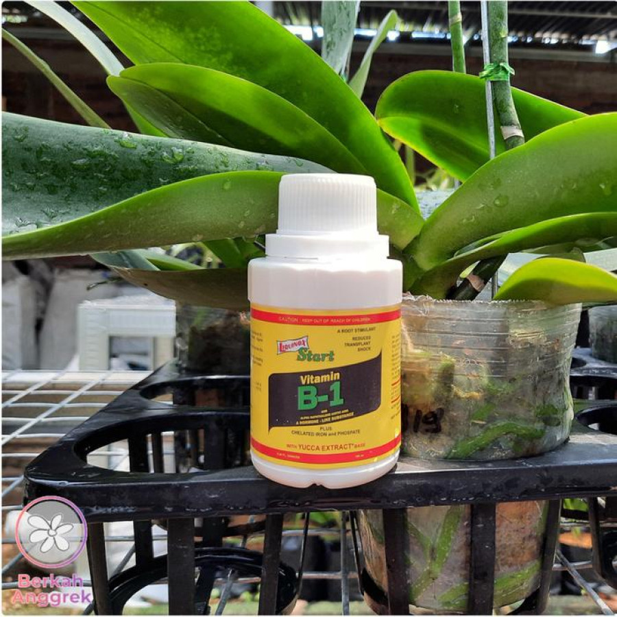 Vitamin Liquinox B1