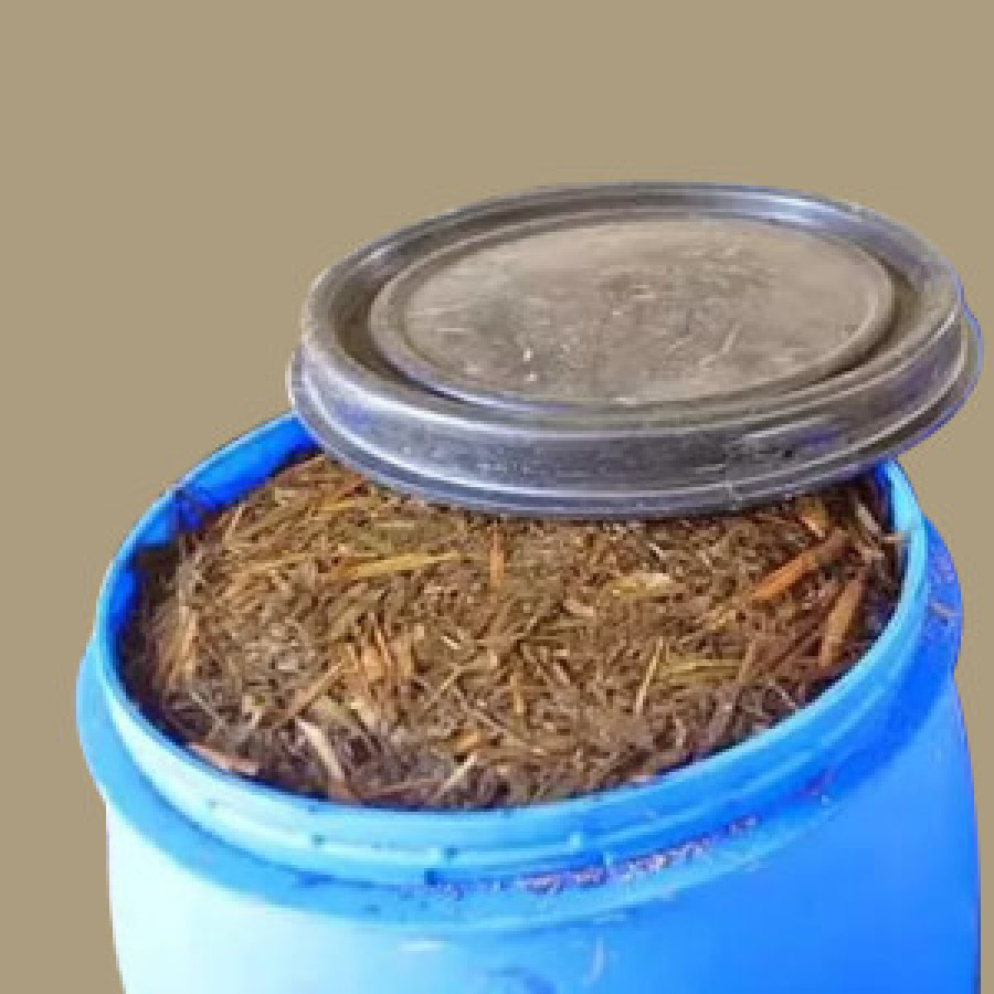 Paket Pelatihan Pembuatan Pakan Ternak Silase dan Konsentrat - depan