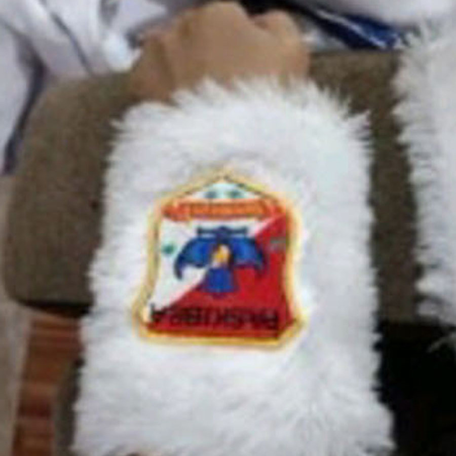Accecoris Marching Band kelompok Fieldcommander - samping