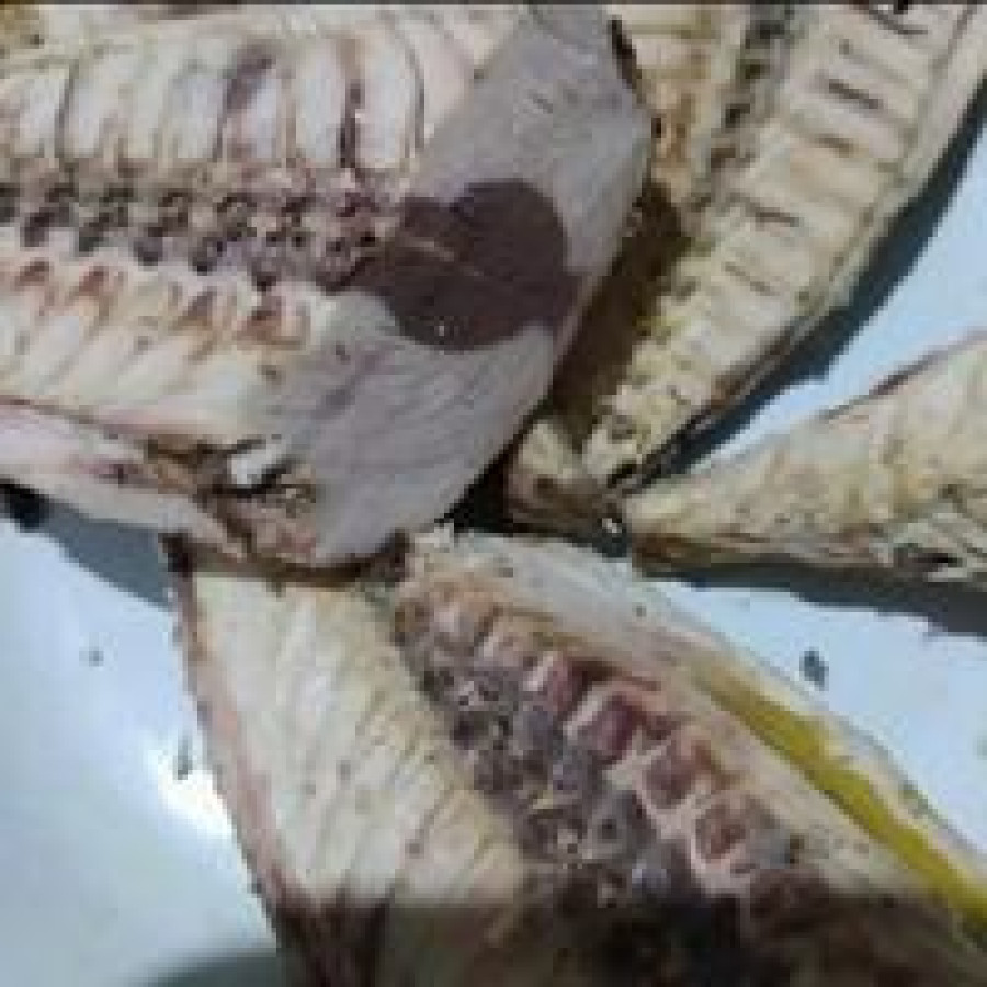 Ikan Pindang